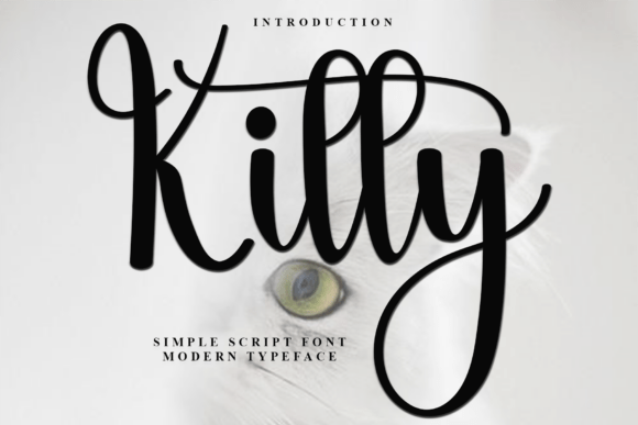 Kitty: The Script Font That Elevates Digital Branding