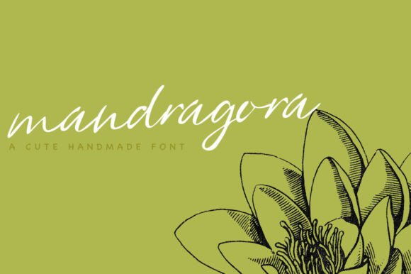 Mandragora: A Playful Script Font for Editorial Design
