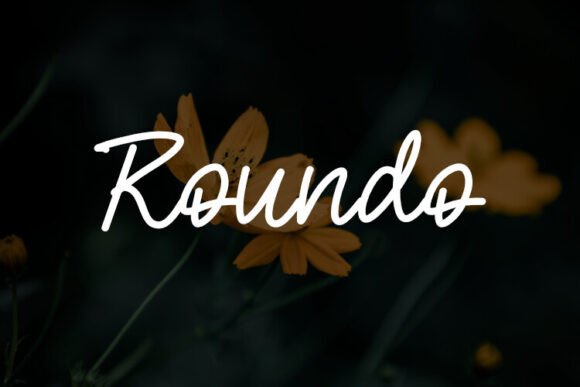 Roundo: A Typeface for Modern Editorial Design