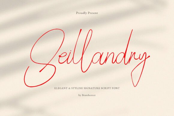 Seillandry: A Handwritten Font for Modern Campaigns